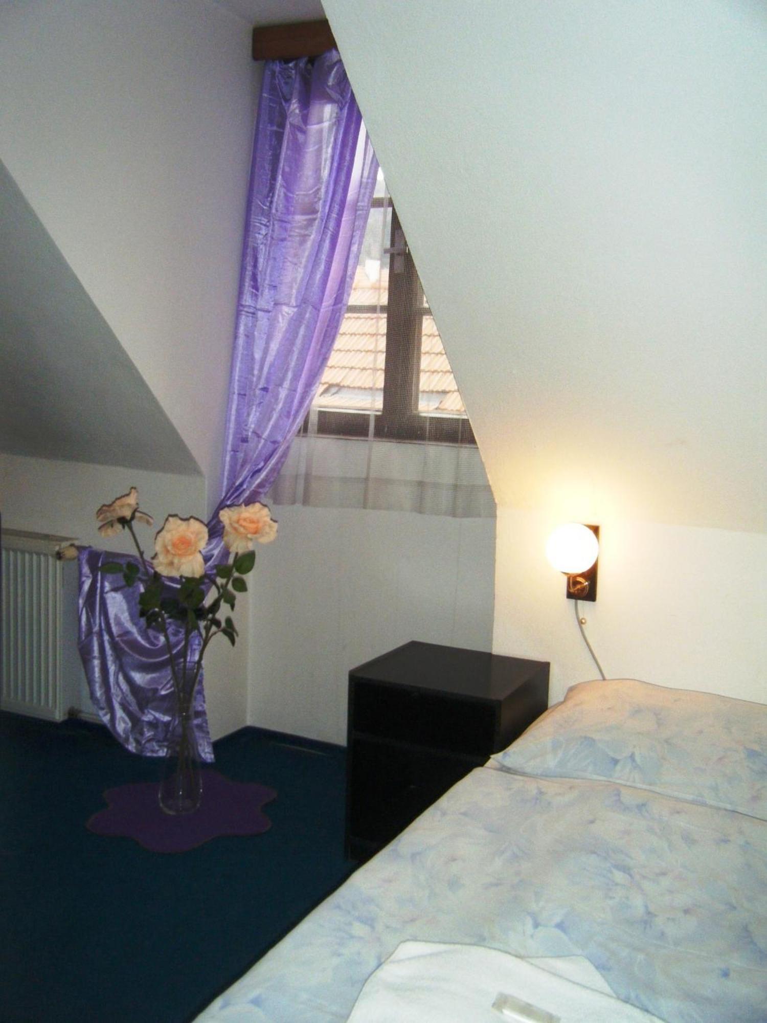 Hotel Parkan Прахатице Стая снимка